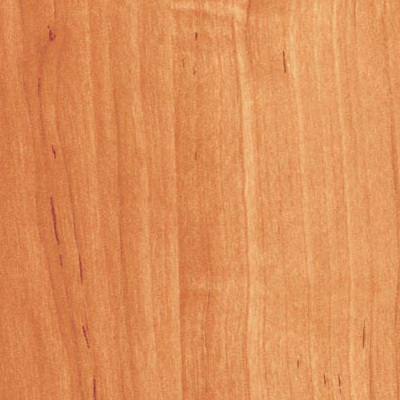Ольха Русская 15-05043-104(103) Image